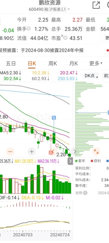 鹏欣资源最新消息,鹏欣资源最新消息全面解析