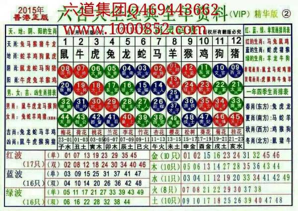 2024十二生肖49码表,揭秘2024十二生肖与彩票49码表的神秘联系