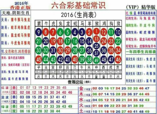 2024十二生肖49码表,揭秘2024十二生肖与数字彩票的奇妙联系——49码表中的生肖运势解析