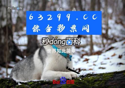 77778888管家婆必开一肖,探索神秘数字组合下的管家婆必开一肖