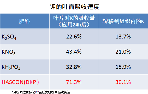 管家婆一码资料54期的一,探索管家婆一码资料第54期的奥秘与价值