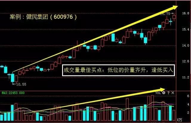 香港今晚开特马+开奖结果66期,香港今晚特马开奖及第66期开奖结果分析