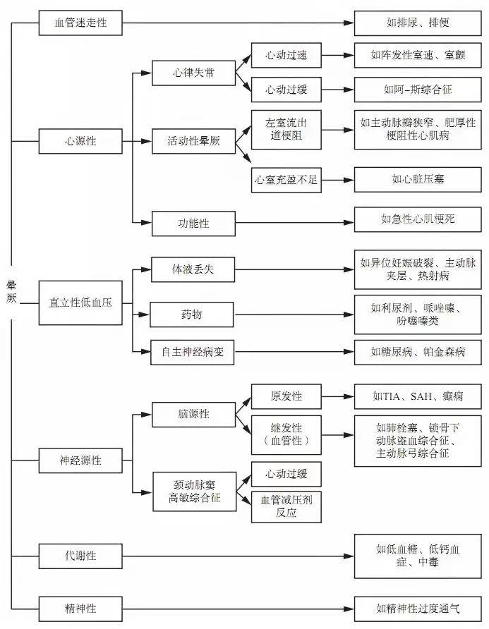 今晚澳门特马必开一肖,今晚澳门特马必开一肖，探索幸运背后的秘密